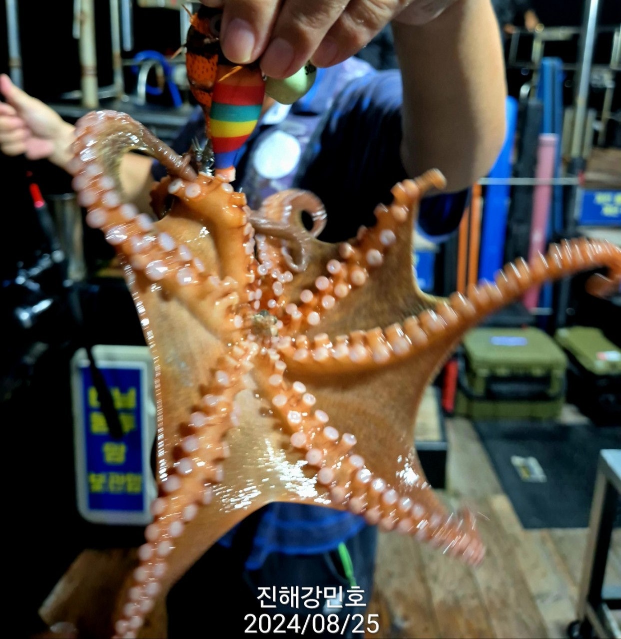 사용자가 올린 이미지