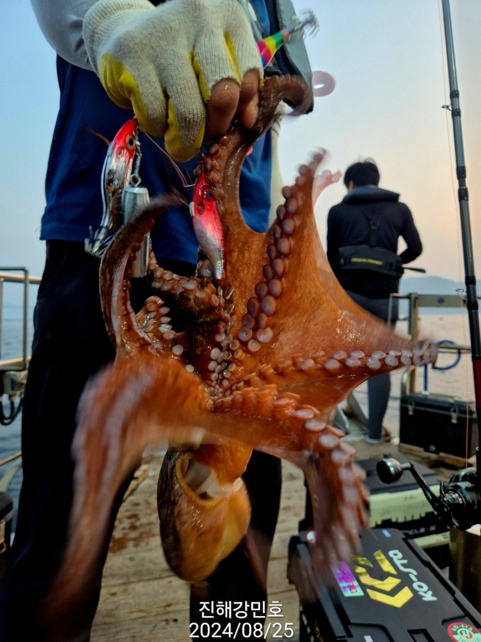 사용자가 올린 이미지