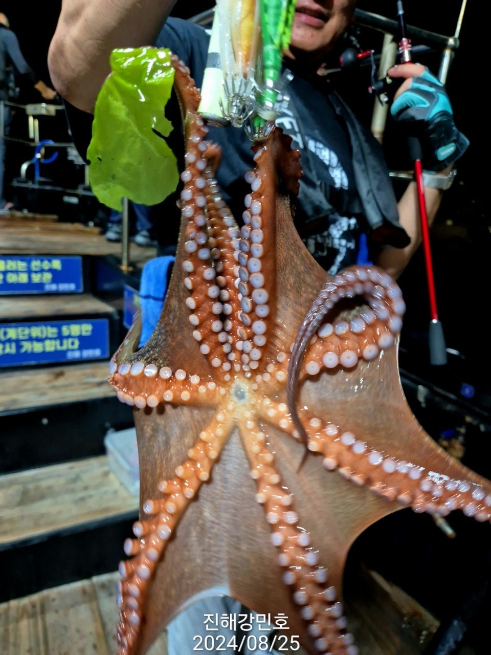 사용자가 올린 이미지