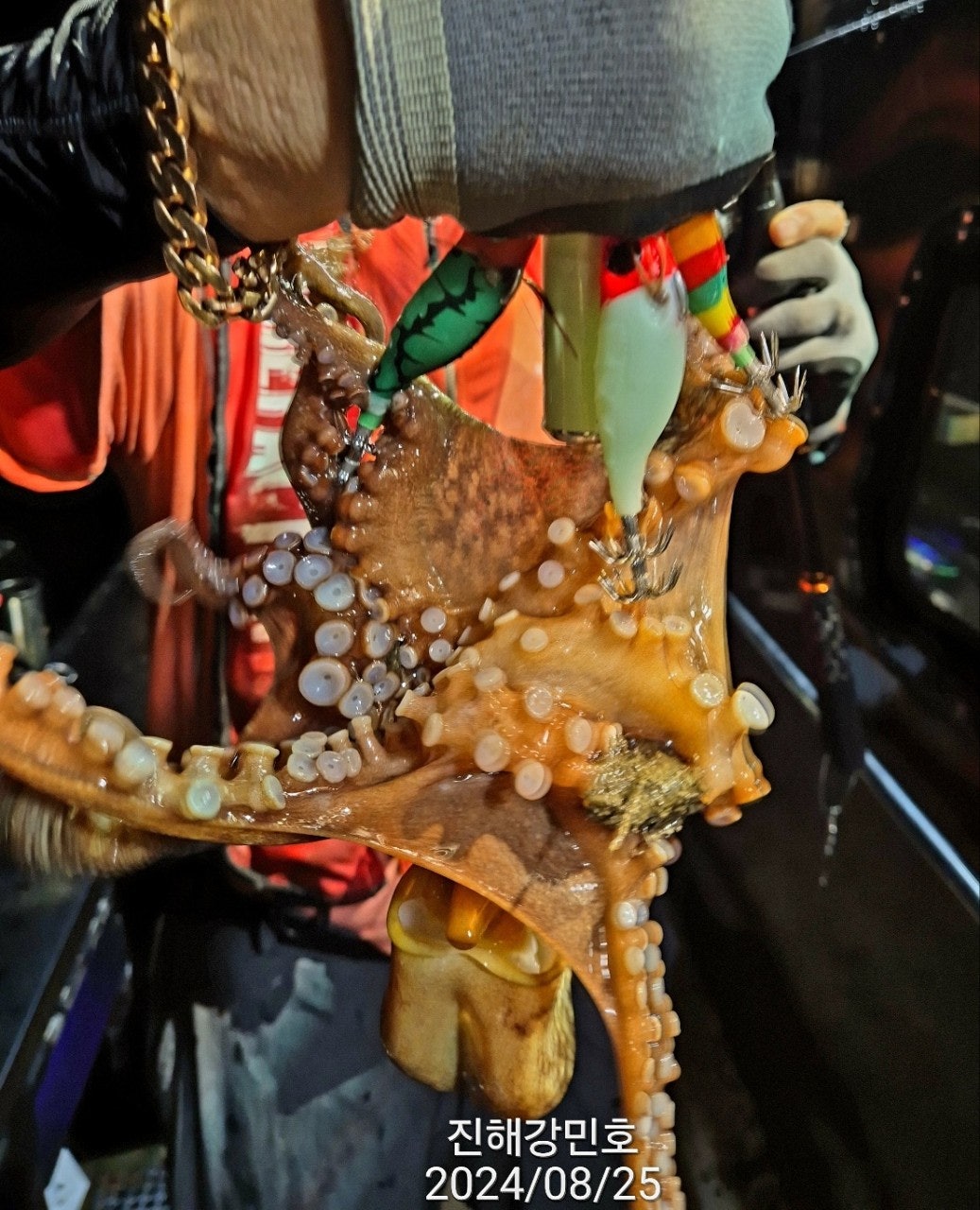 사용자가 올린 이미지