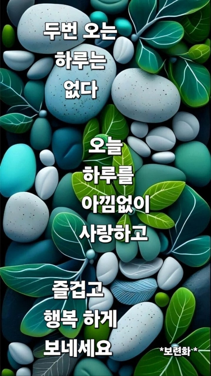 사용자가 올린 이미지