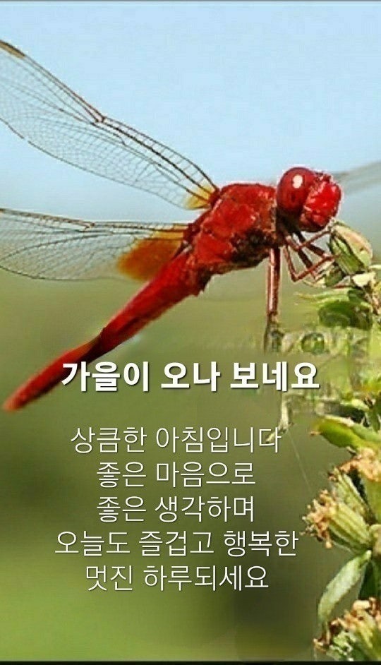 사용자가 올린 이미지