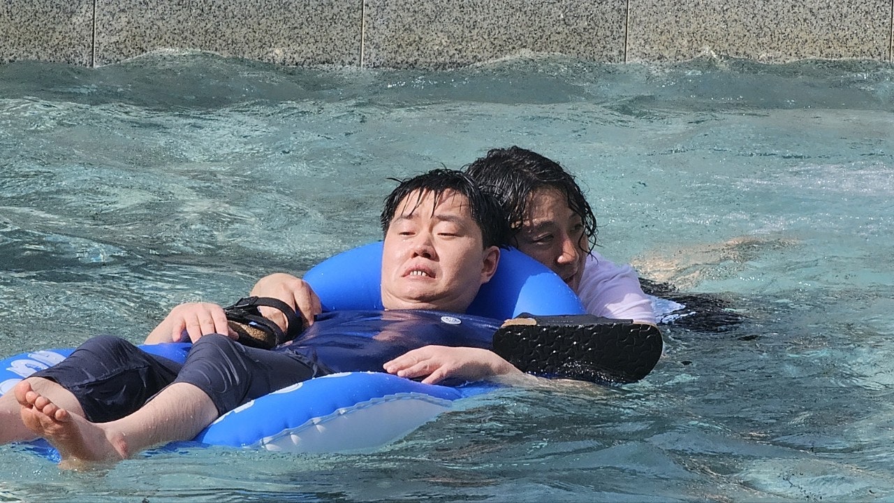 사용자가 올린 이미지