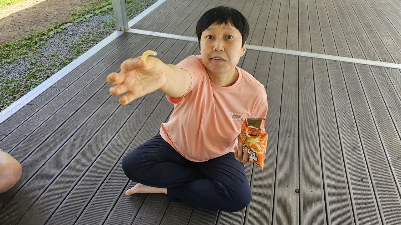 사용자가 올린 이미지