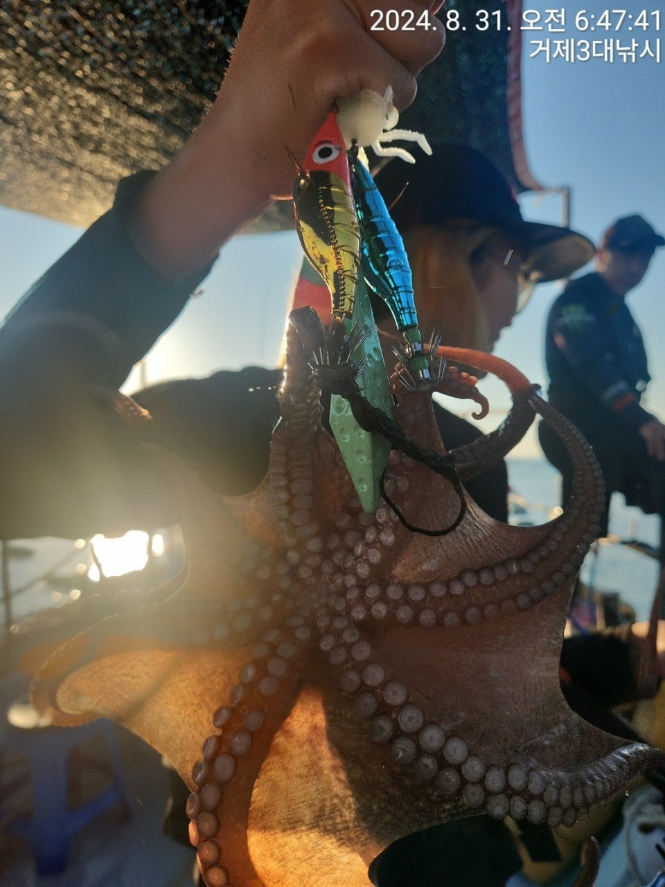 사용자가 올린 이미지