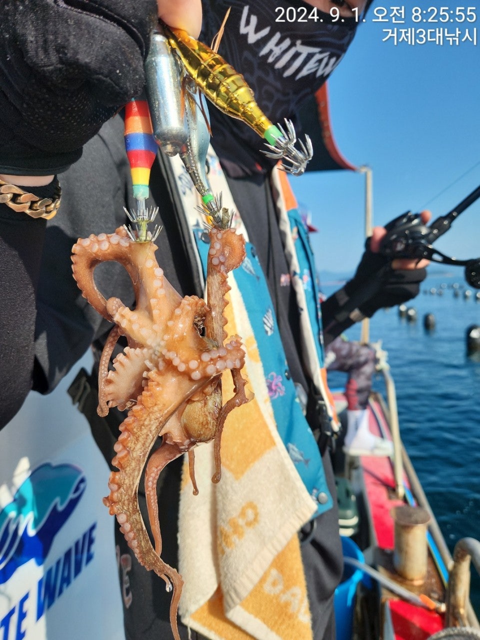 사용자가 올린 이미지