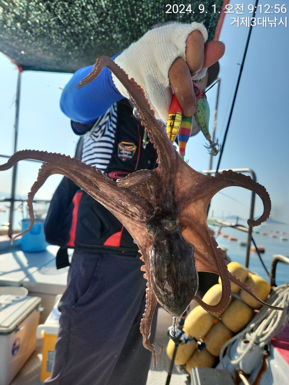 사용자가 올린 이미지