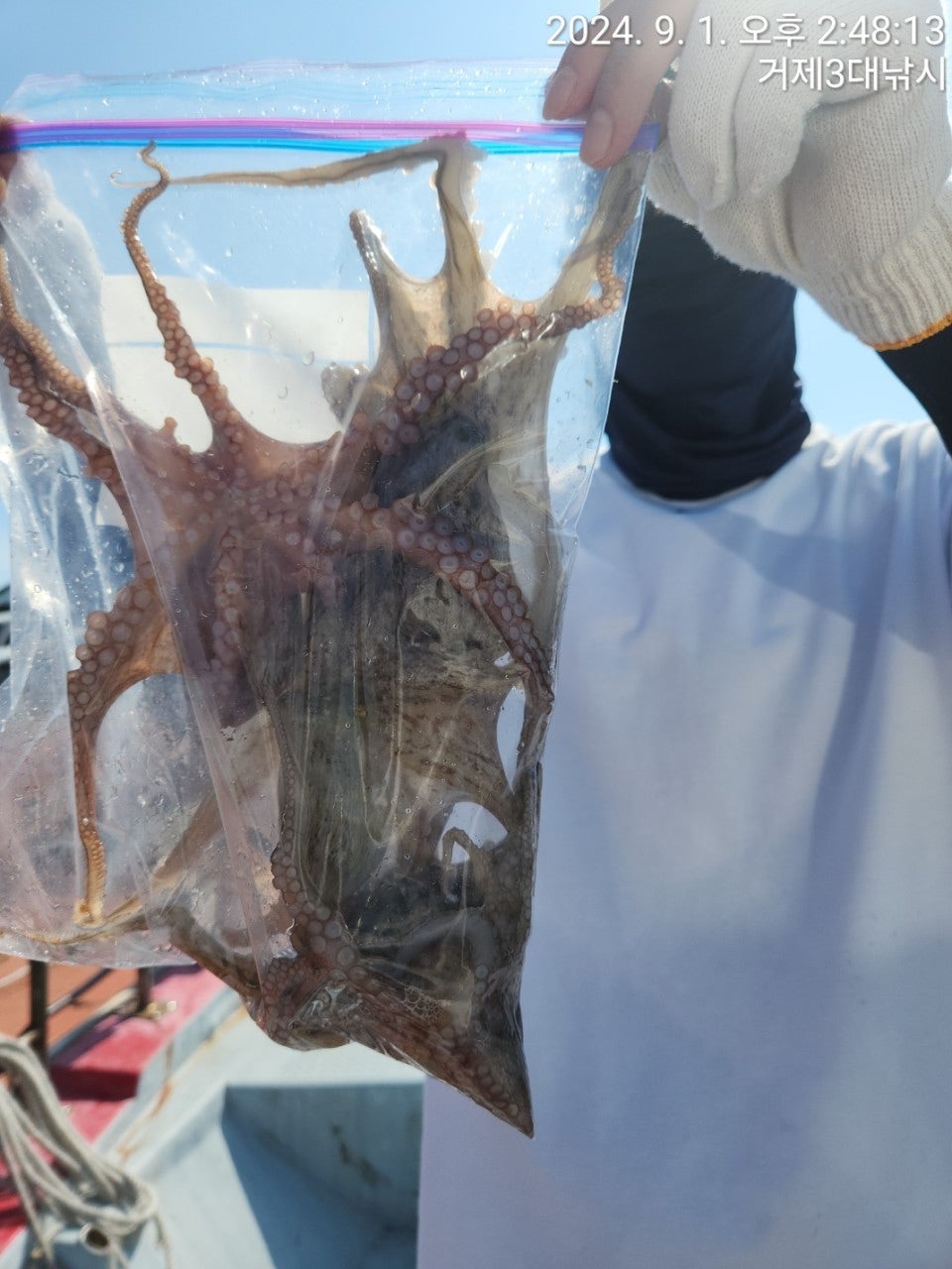 사용자가 올린 이미지