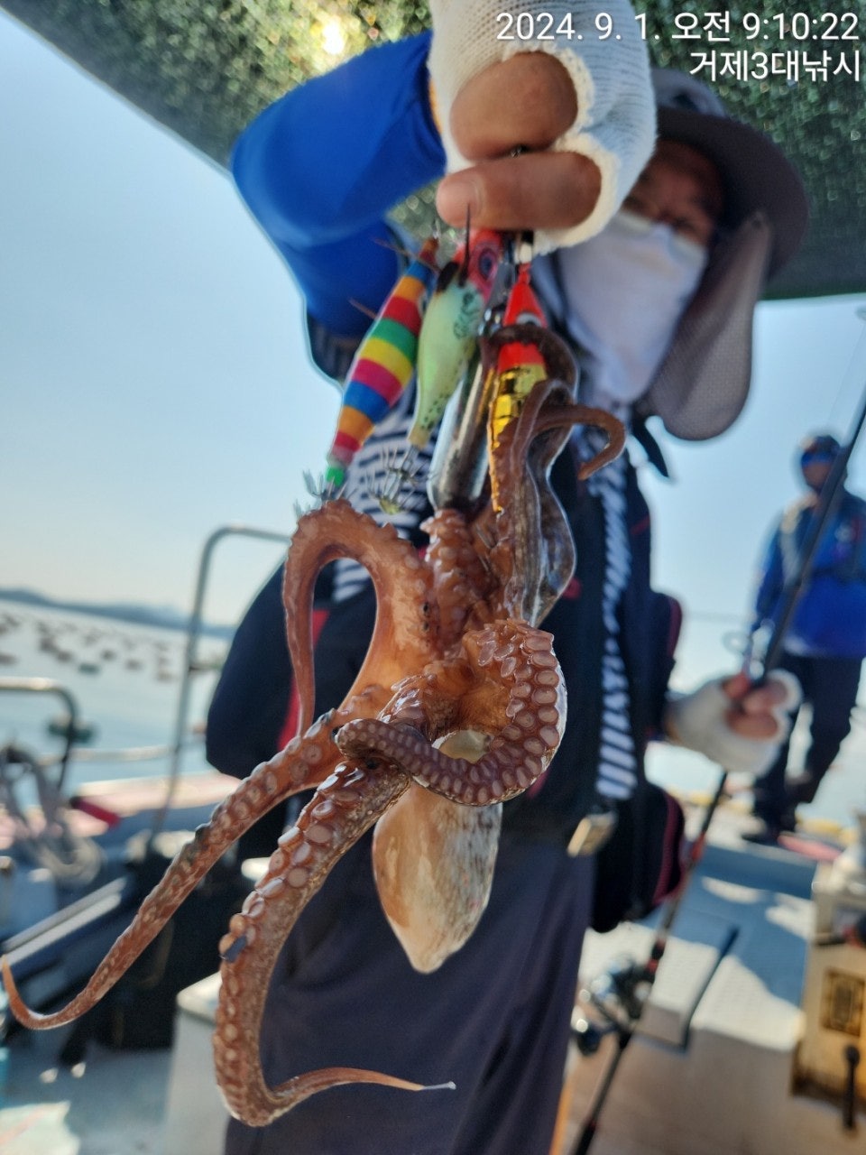 사용자가 올린 이미지