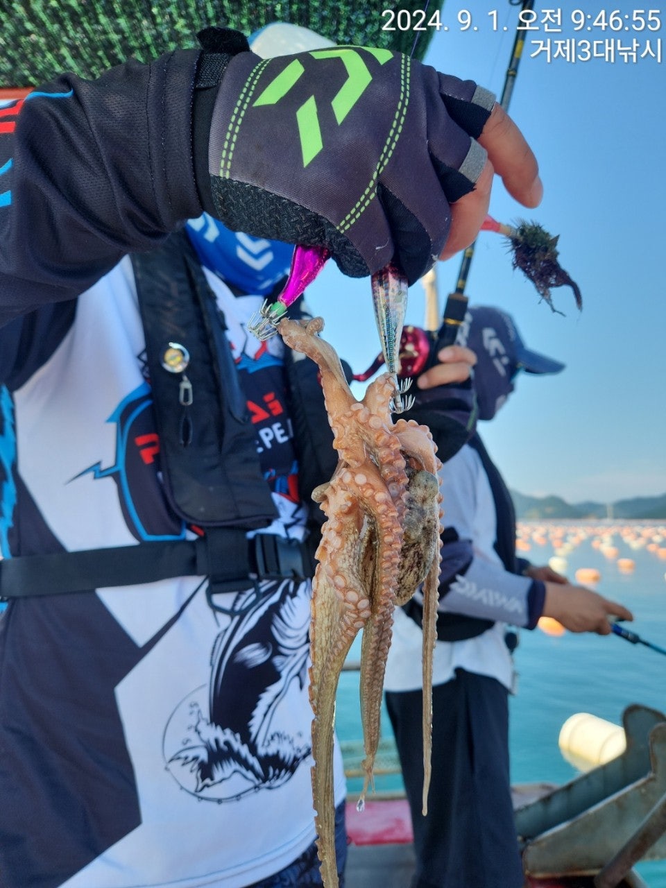 사용자가 올린 이미지