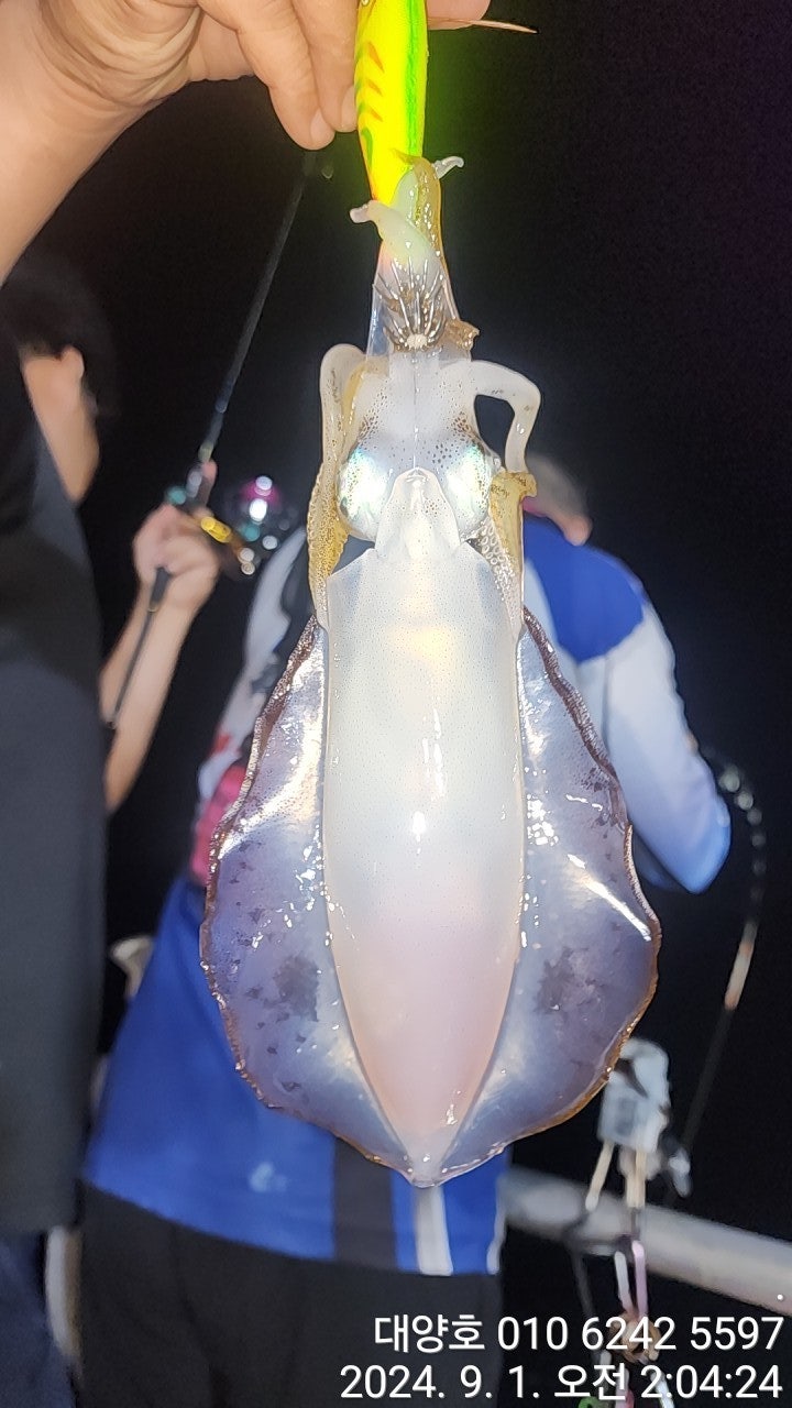 사용자가 올린 이미지