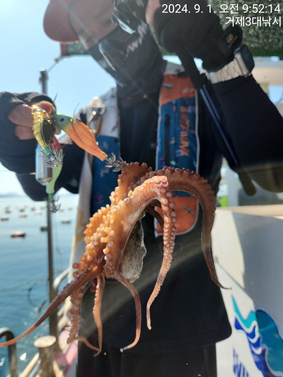 사용자가 올린 이미지