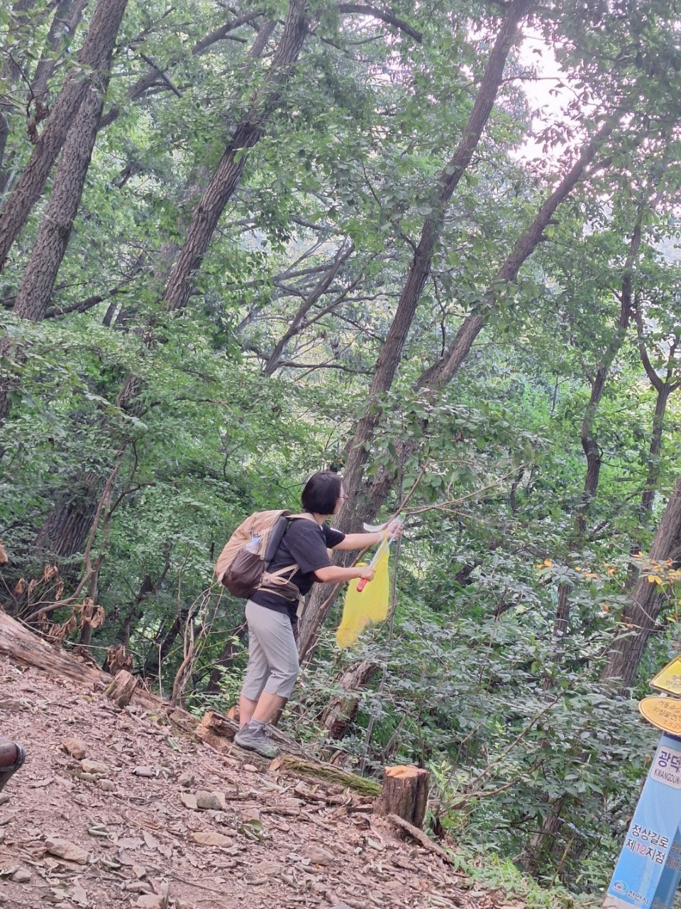 사용자가 올린 이미지