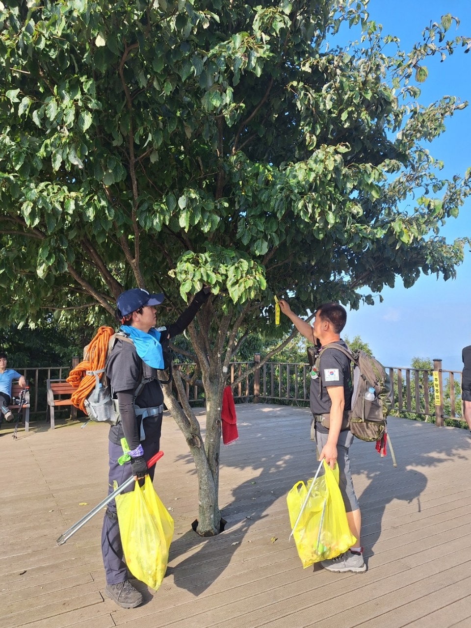 사용자가 올린 이미지