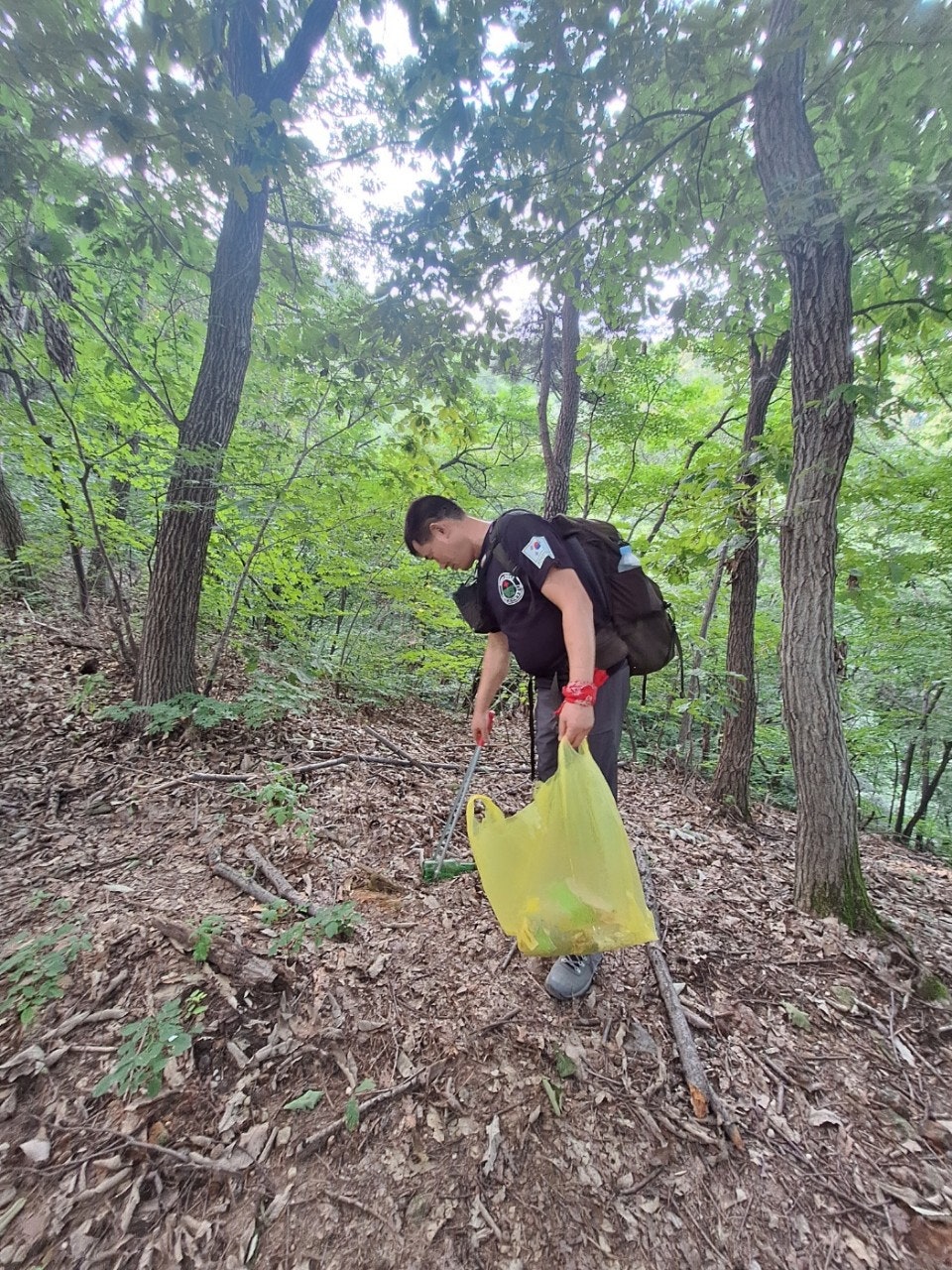 사용자가 올린 이미지