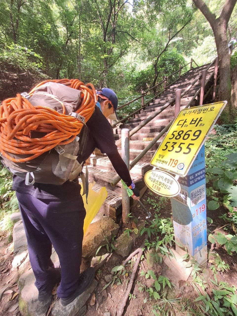 사용자가 올린 이미지