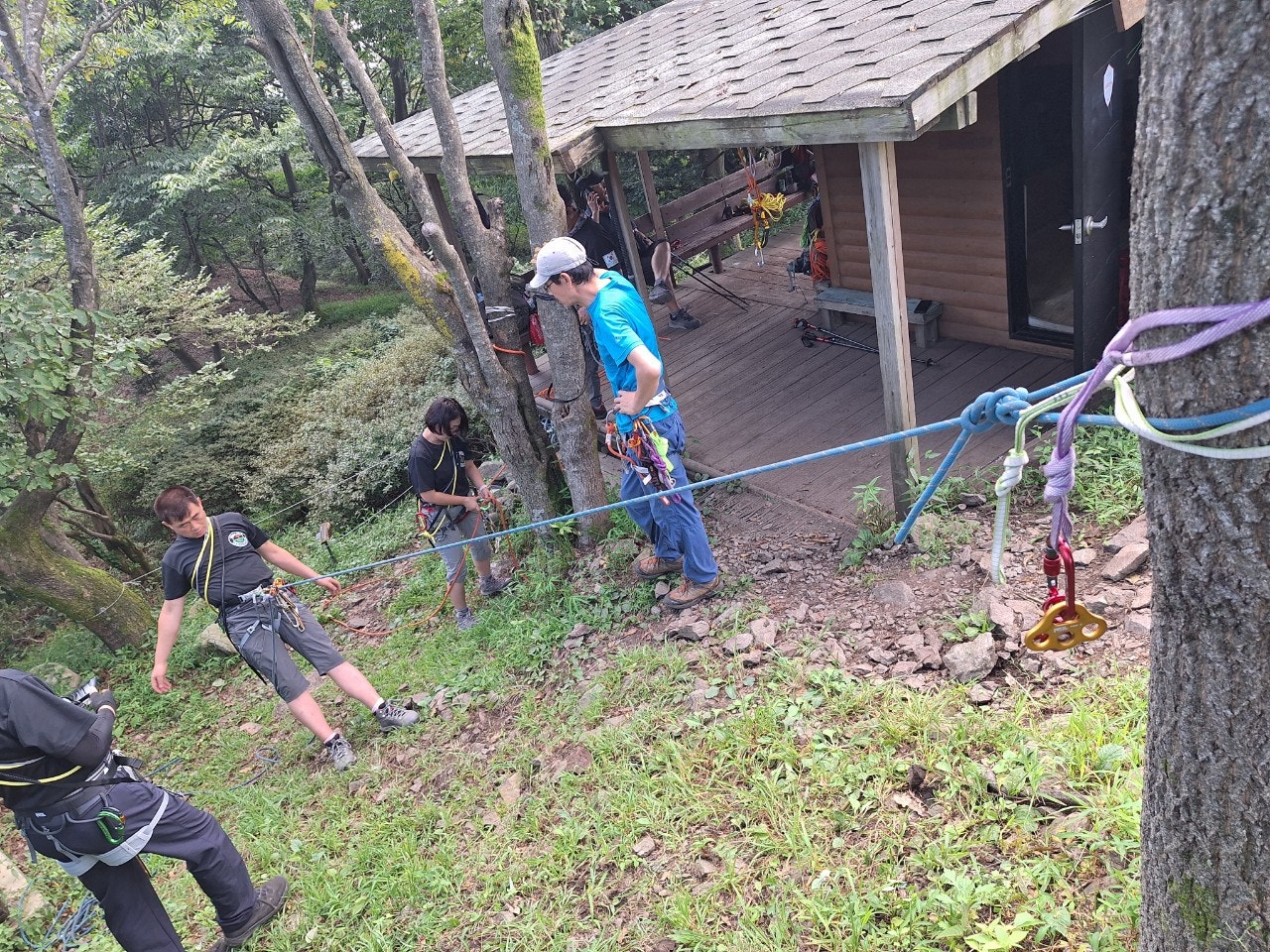 사용자가 올린 이미지