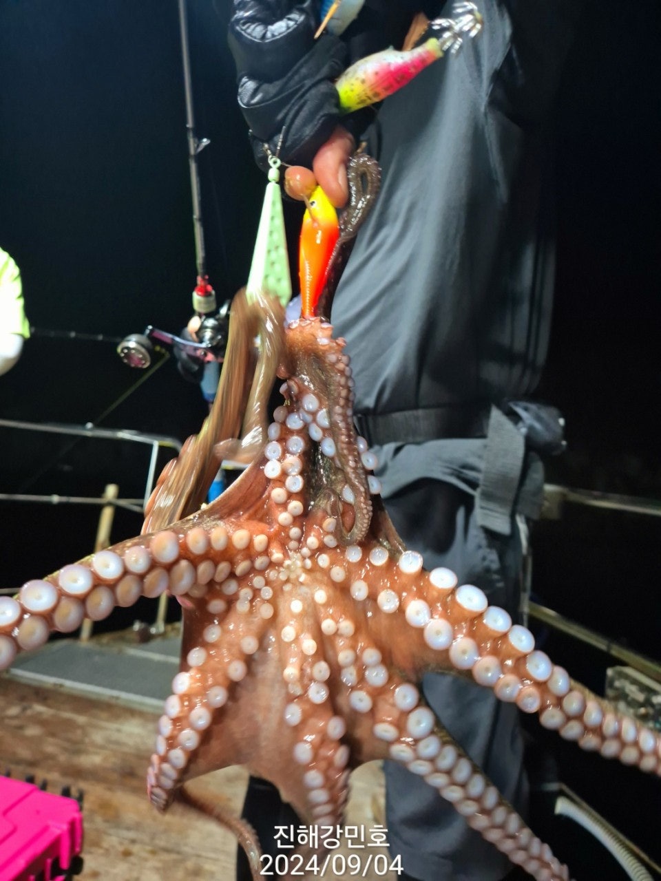 사용자가 올린 이미지