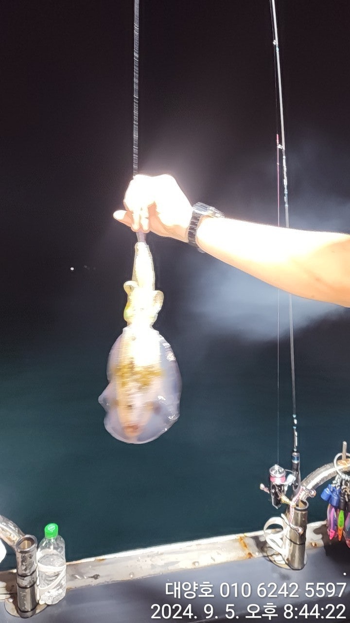 사용자가 올린 이미지