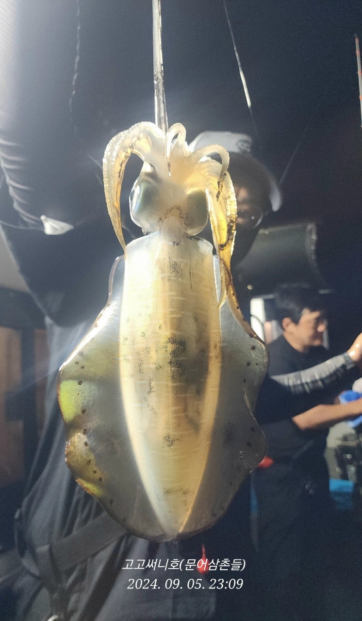 사용자가 올린 이미지