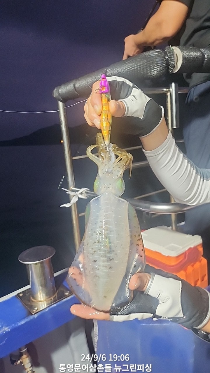 사용자가 올린 이미지