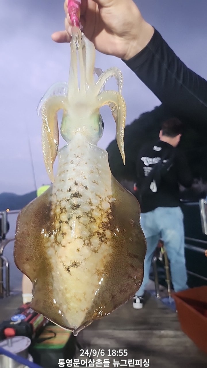 사용자가 올린 이미지