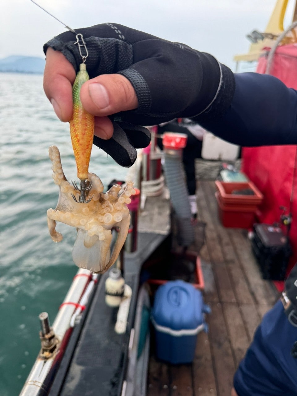 사용자가 올린 이미지