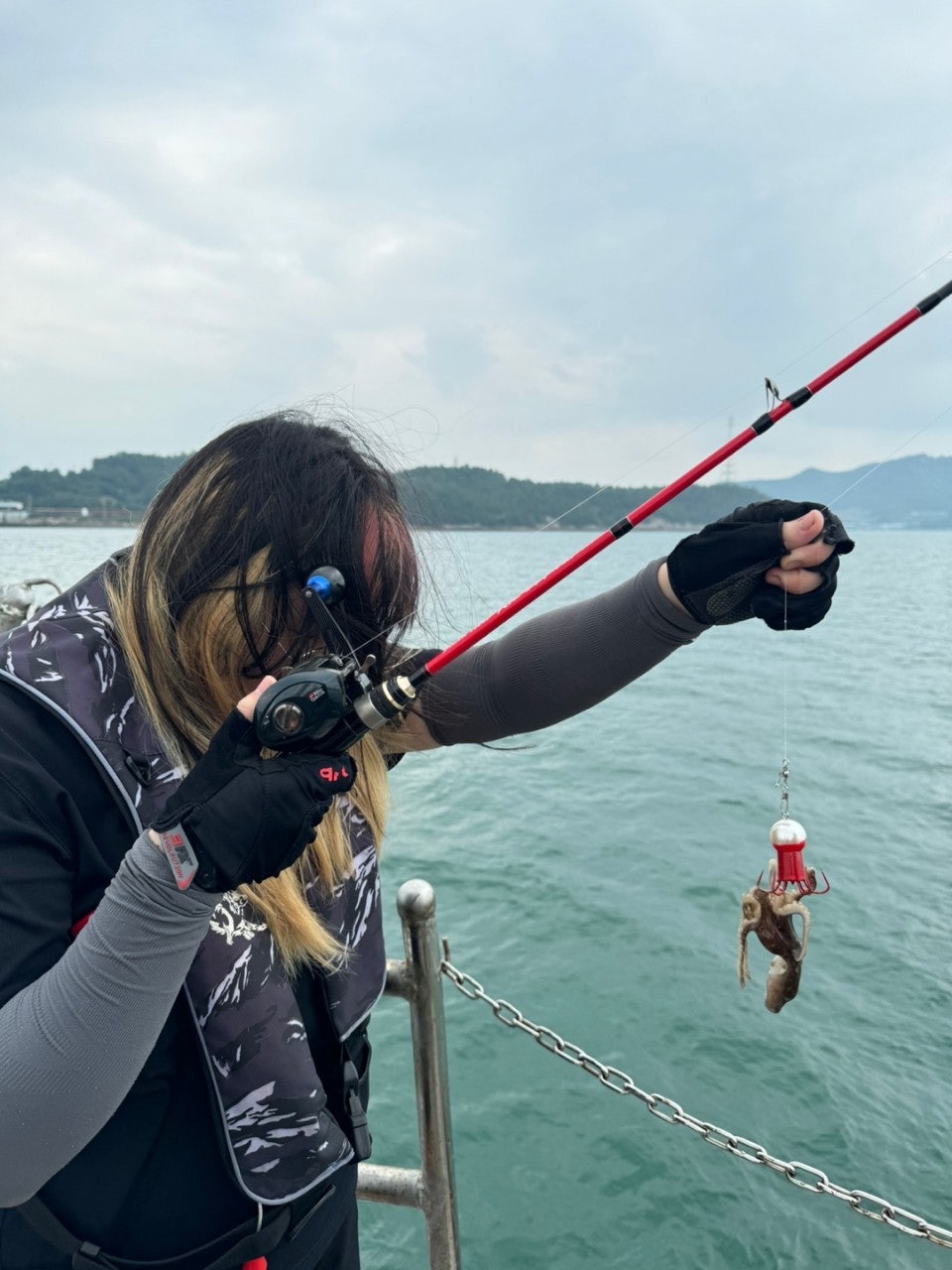 사용자가 올린 이미지