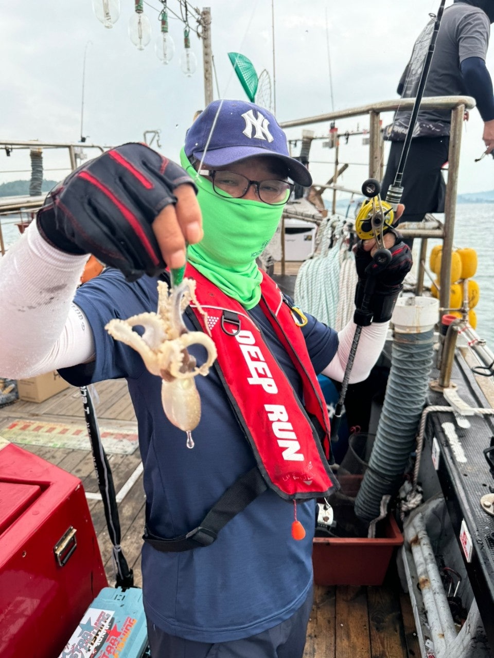 사용자가 올린 이미지