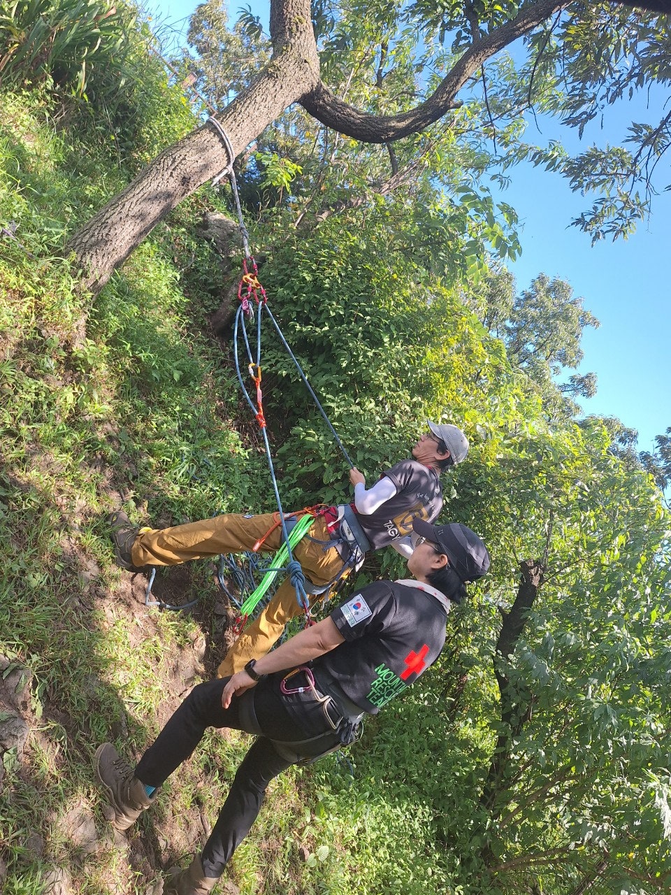 사용자가 올린 이미지