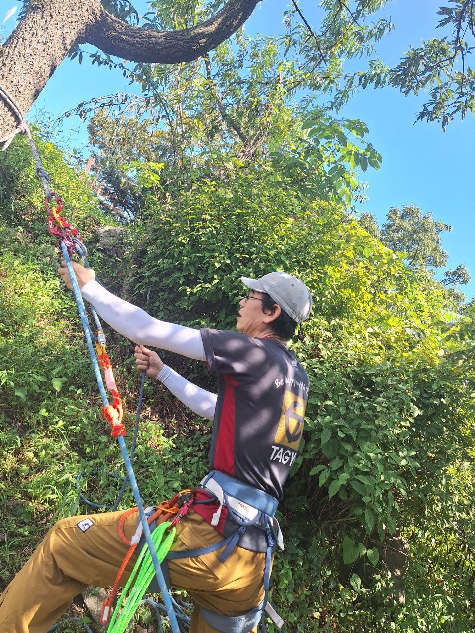 사용자가 올린 이미지