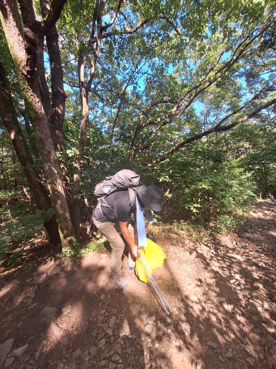 사용자가 올린 이미지