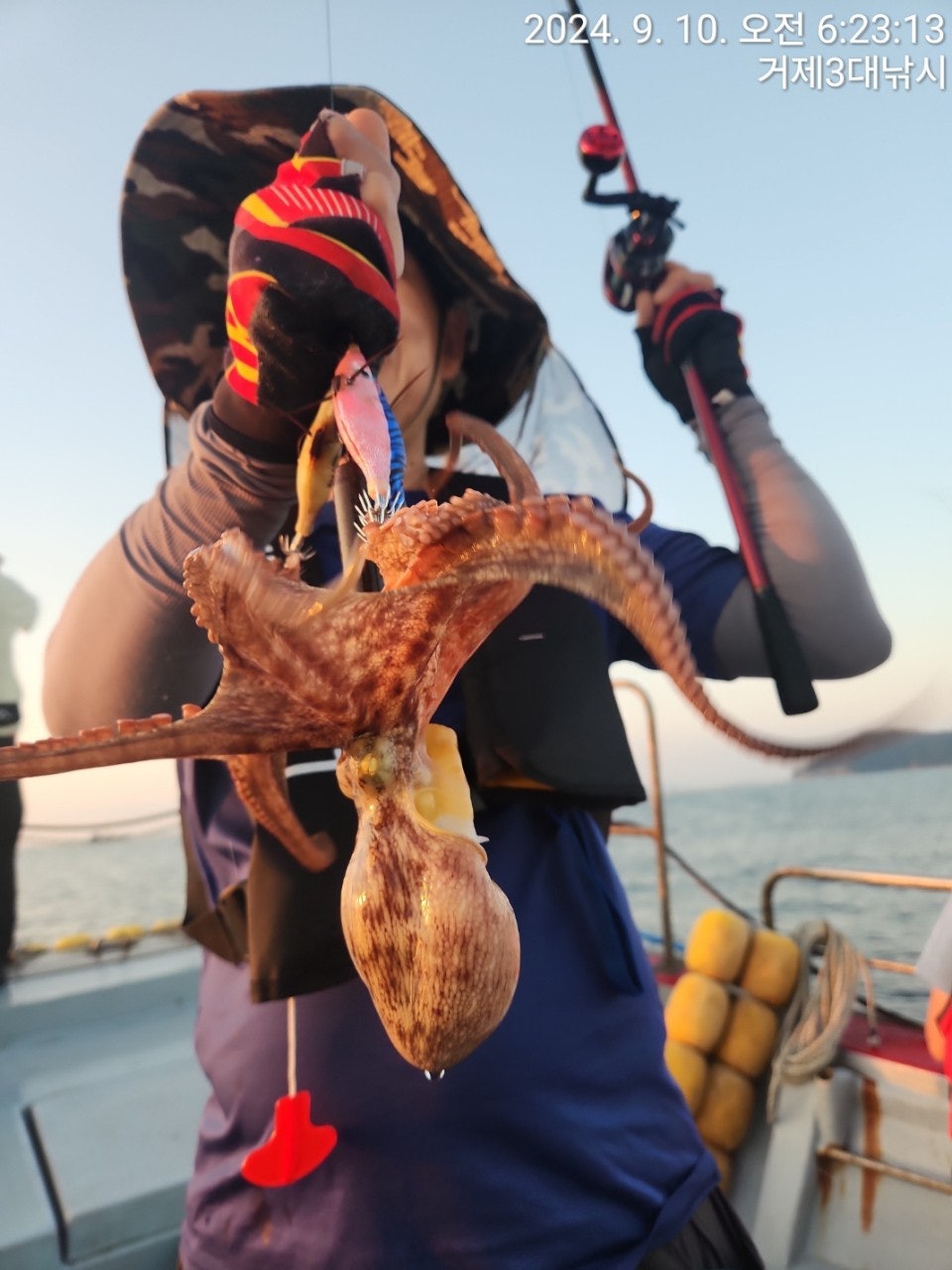 사용자가 올린 이미지