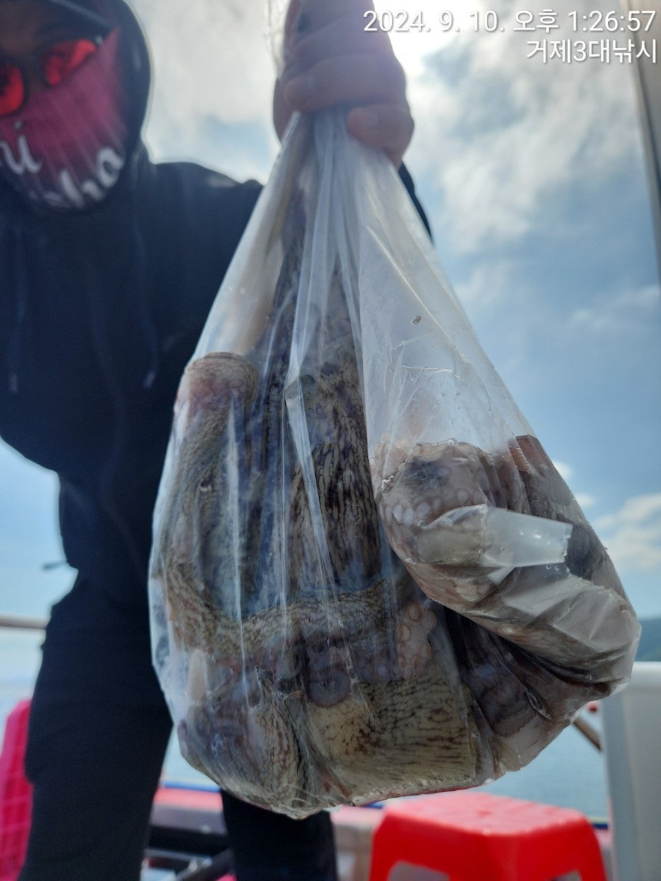 사용자가 올린 이미지