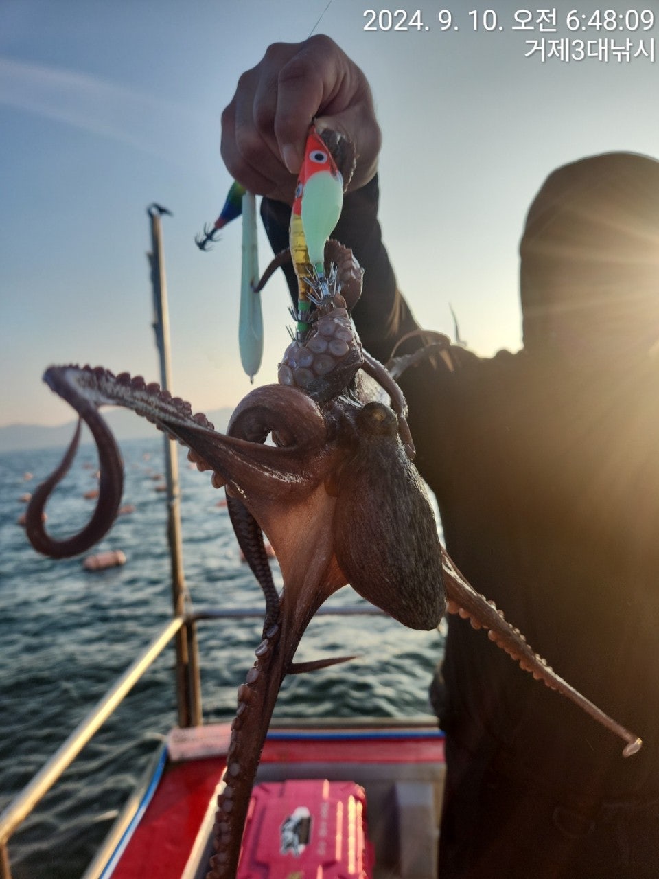 사용자가 올린 이미지