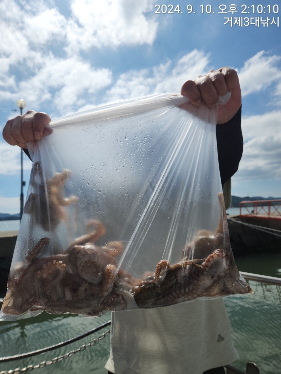 사용자가 올린 이미지