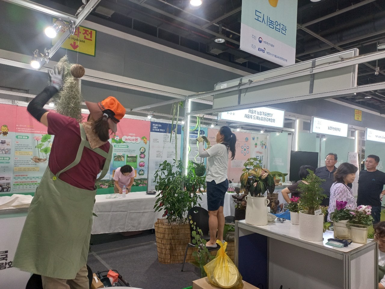 사용자가 올린 이미지