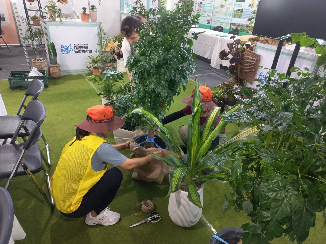 사용자가 올린 이미지