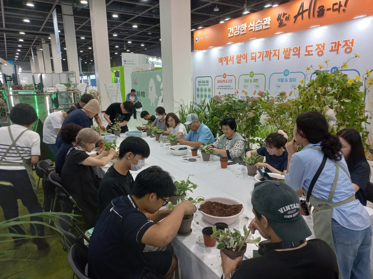 사용자가 올린 이미지