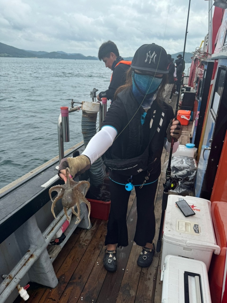 사용자가 올린 이미지