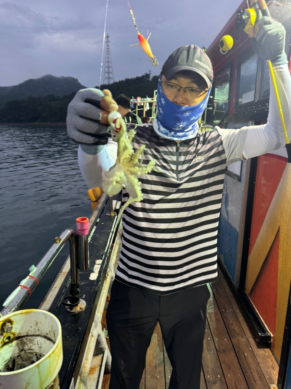 사용자가 올린 이미지