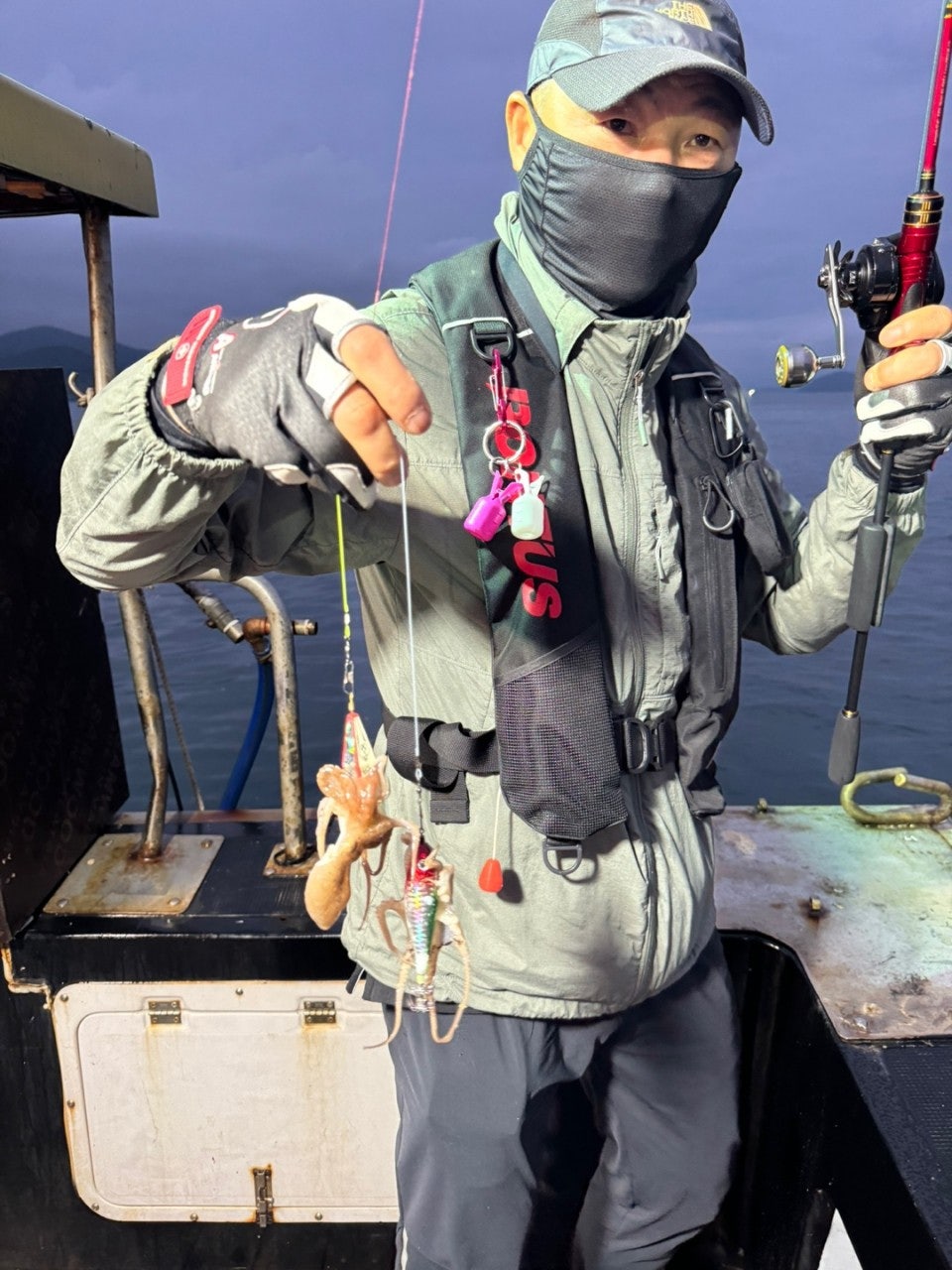 사용자가 올린 이미지