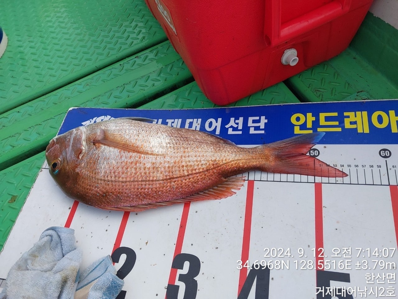 사용자가 올린 이미지