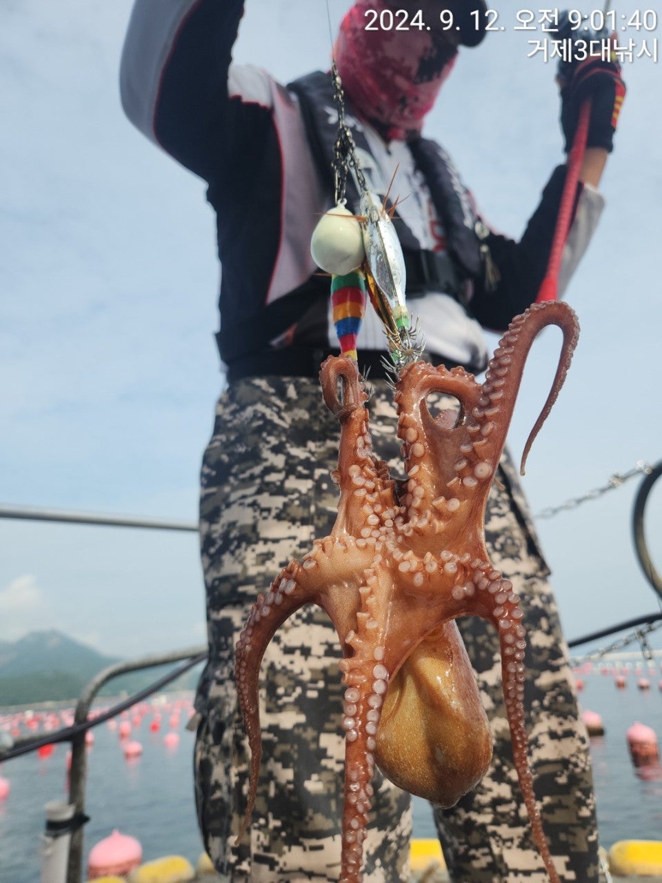 사용자가 올린 이미지