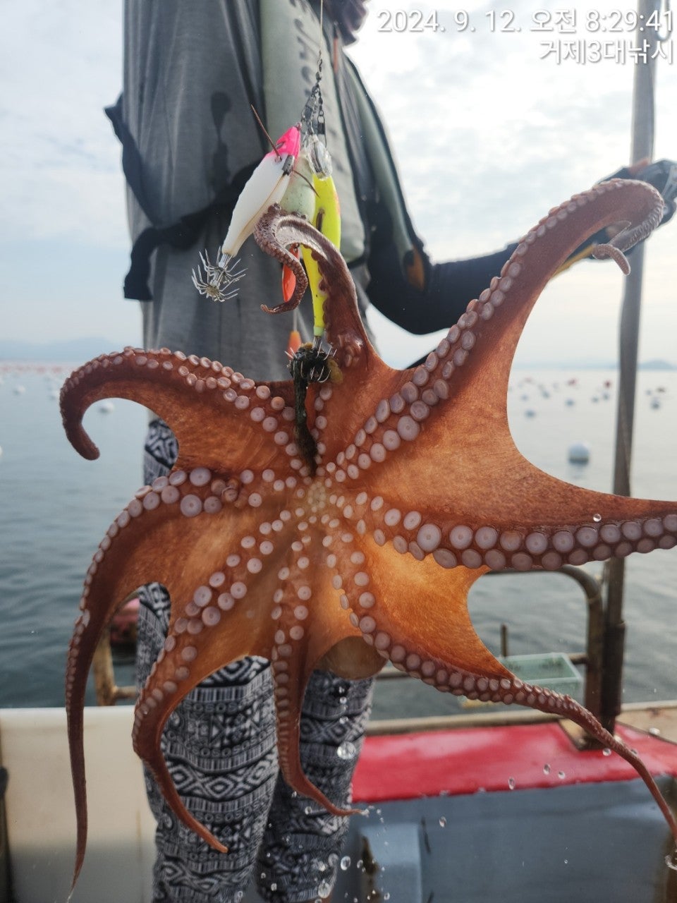 사용자가 올린 이미지