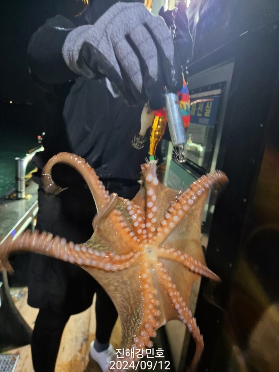 사용자가 올린 이미지