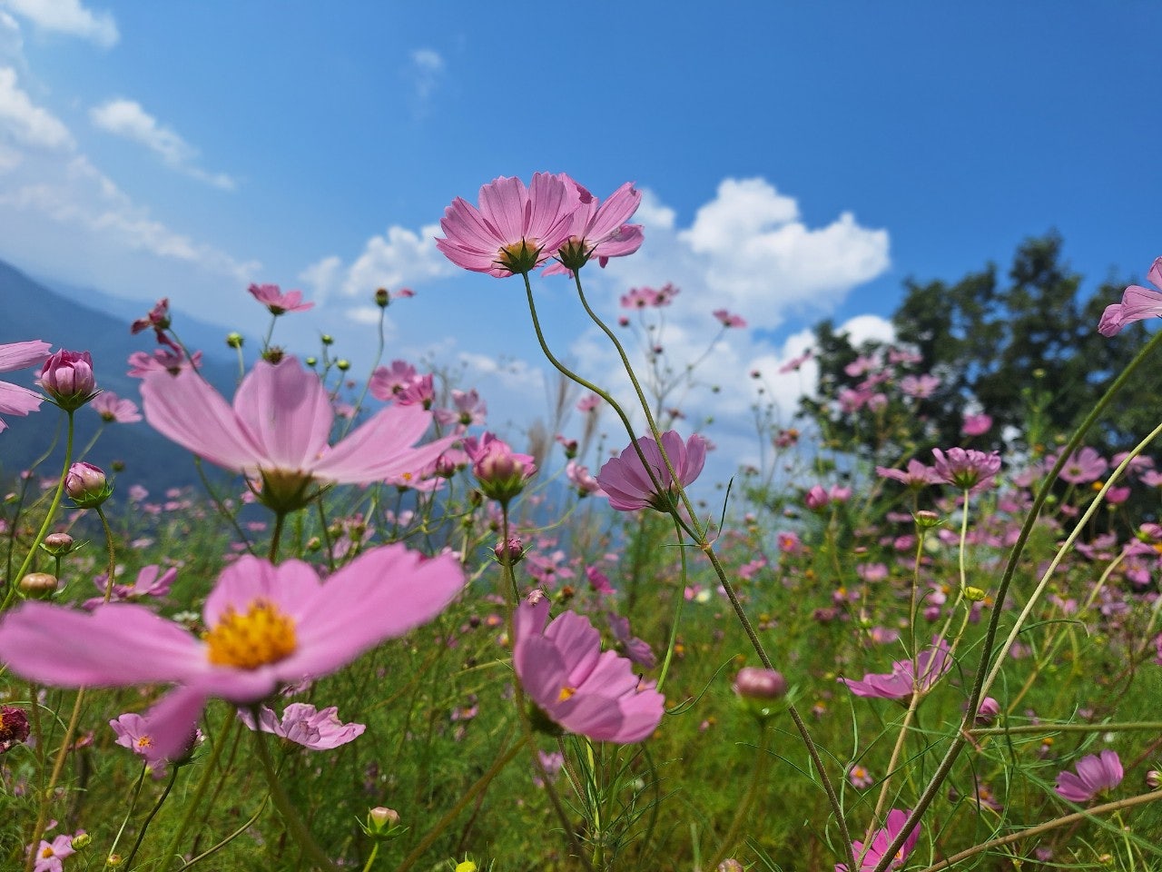 사용자가 올린 이미지
