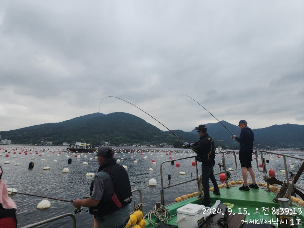 사용자가 올린 이미지