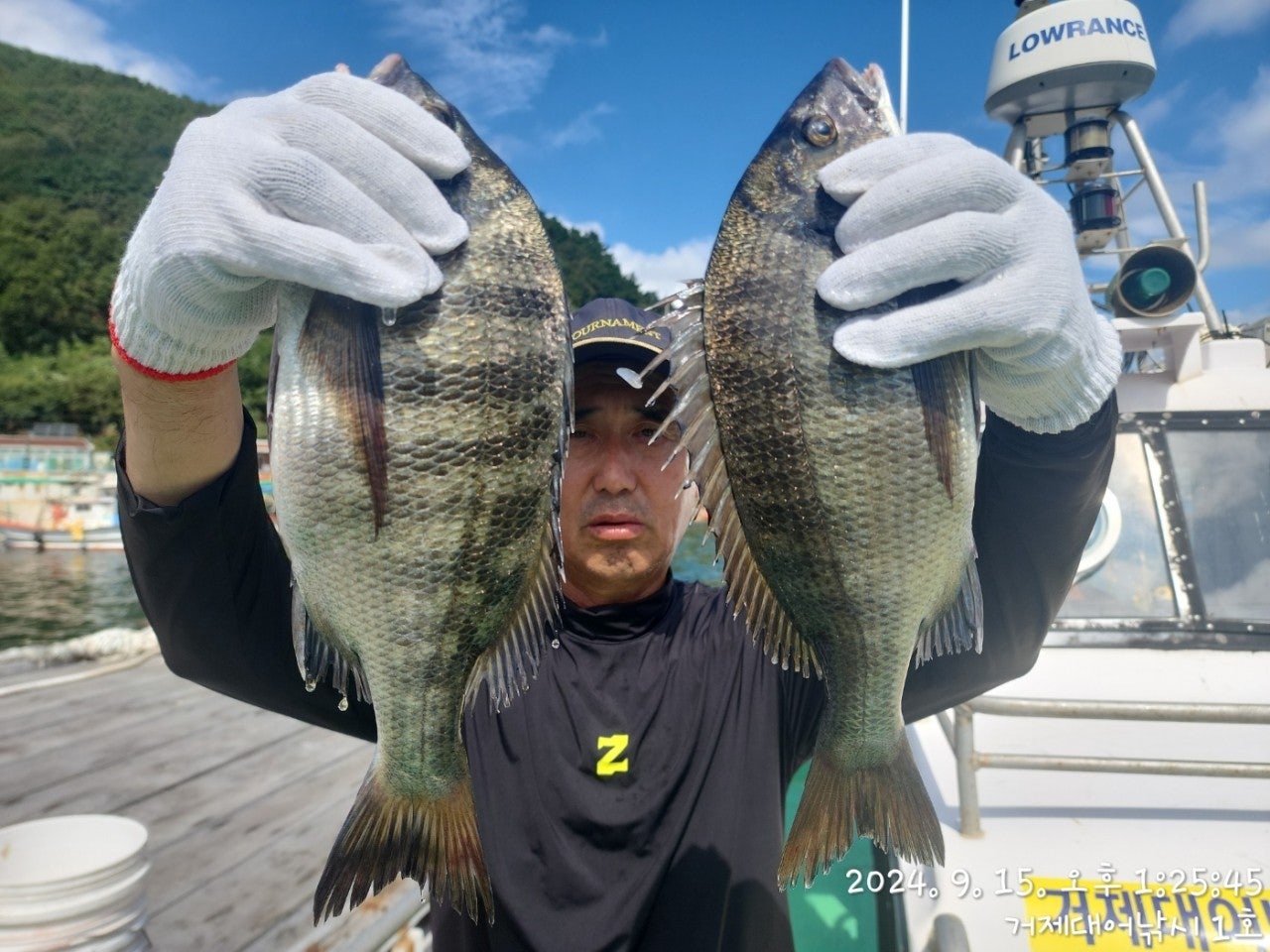 사용자가 올린 이미지