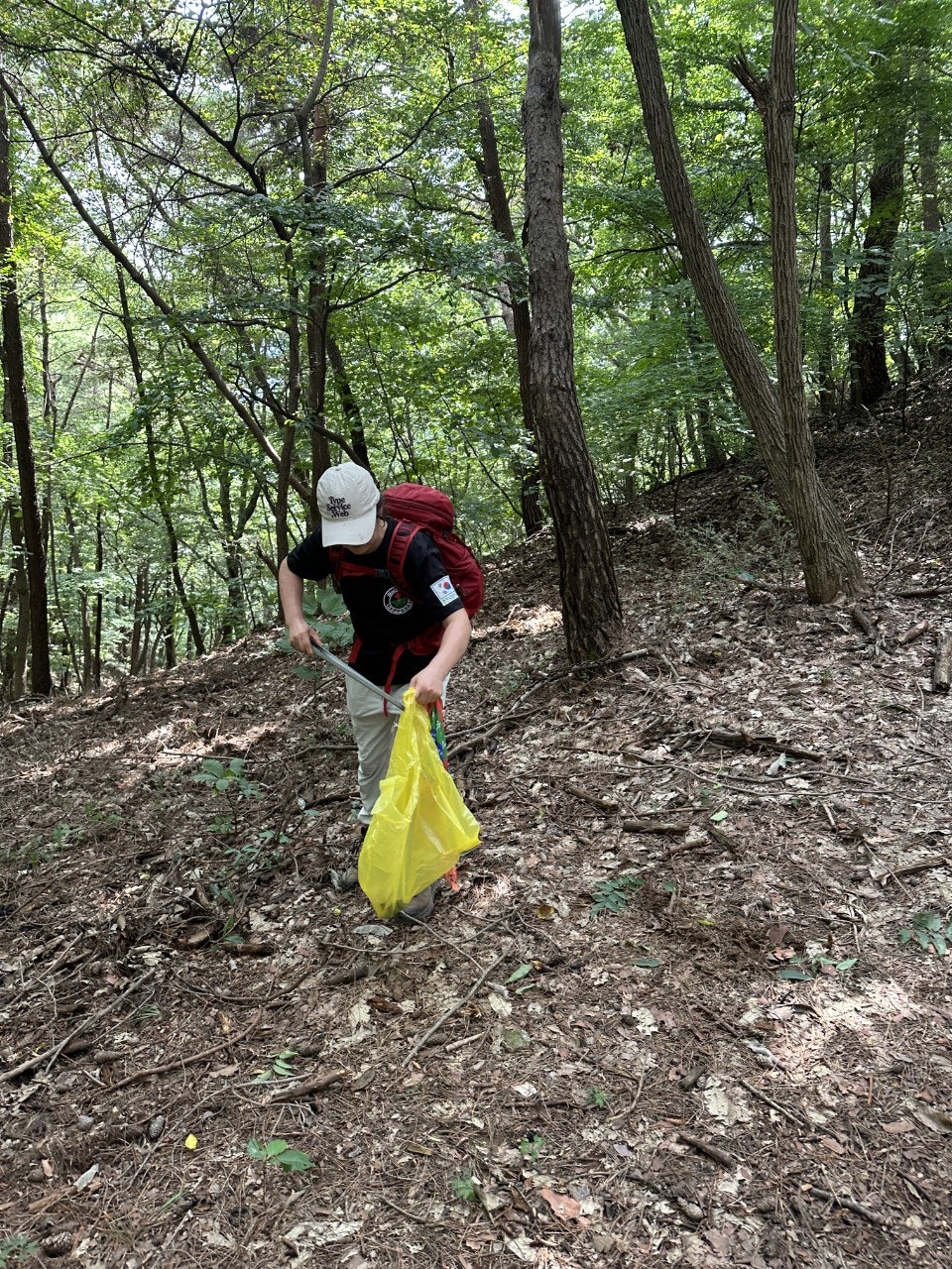 사용자가 올린 이미지